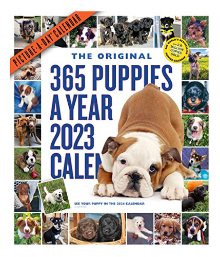 365 Puppies-a-year Picture-a-day Wall Calendar 2023 Absolut, De Workman Calendars. Editorial Workman Publishing Company, Tapa Blanda En Inglés, 2022