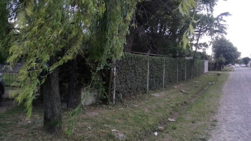 Imagen 1 de 2 de Casa Quinta Con Amplio Parque Y Arboleda