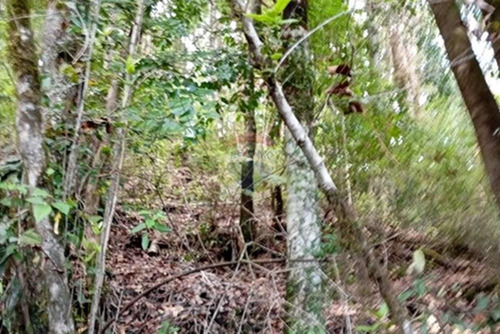 Venta Parcela Pucón Con Acceso A Rio Carhuello