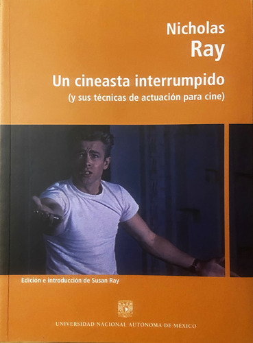 Nicholas Ray, Un Cineasta Interrumpido, Susan Ray