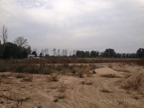 Imagen 12 de 23 de Predio Ideal Para Centro Logístico De 125.000 M2 Con 3.000 M2 Cubiertos