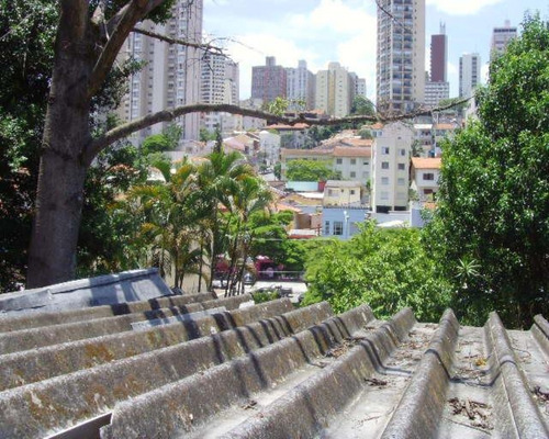 Terreno 1.060 M² 20 X 53 Avenida Sumare - 1348-ted - 67750167