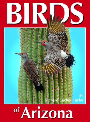 Libro Birds Of Arizona - Taylor, Richard C.