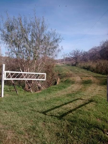 Imagen 9 de 11 de 9,70 Has De Isla, Con Acceso Vehicular Y Costa Al Parana Guazu