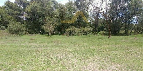 Imagen 10 de 11 de Terreno En Venta En Amaxac Tlaxcala.