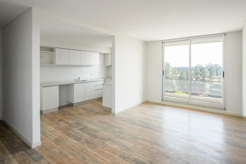 Imagen 20 de 30 de Venta - Monoambiente - Tierra Nueva - Alippi 9100