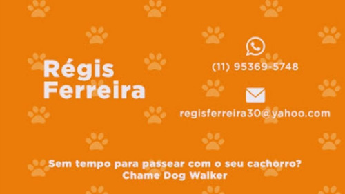 Imagem 2 de 2 de Seu Pet Merece Dog Walker