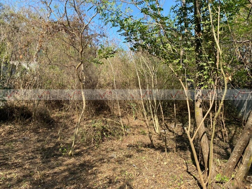 Imagen 3 de 5 de Terreno Residencial En Venta En San Javier, Santiago, Nuevo
