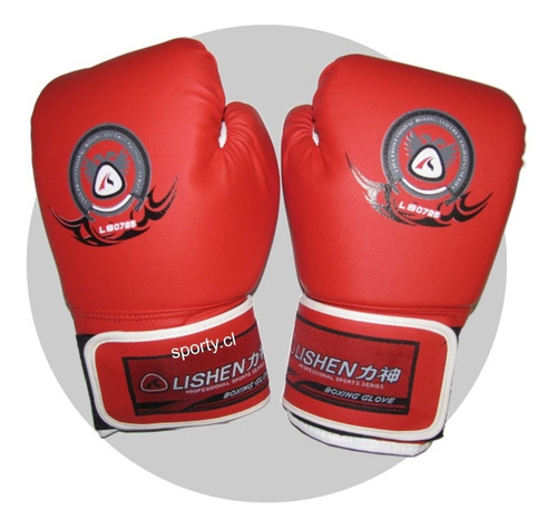 Guantes Box 10oz Pro  Sanda Muay Thai Karate