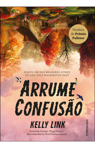 Arrume Confusao: Arrume Confusao, De Link, Kelly. Editora Tordesilhas, Capa Mole, Edição 1 Em Português, 2023