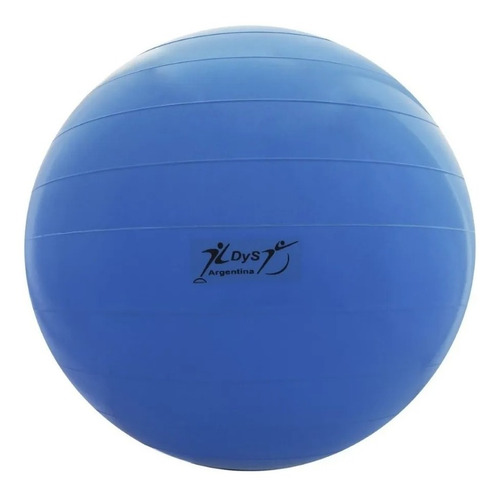 Imagen 2 de 10 de Pelota Pilates 70 Cm 900gr Reforzada Yoga Esferodinamia Gym