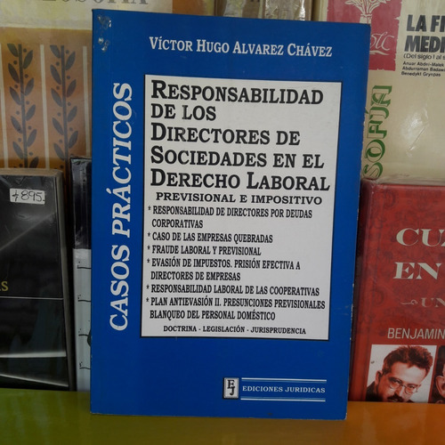 Responsabilidad De Directores De Sociedades Derecho Laboral