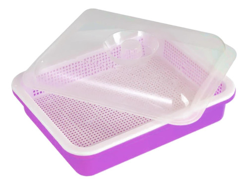 Bandeja De Germinación De Semillas De Jardín, Kit Violeta
