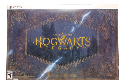 Hogwarts Legacy Deluxe Edition Warner Bros. Ps5 Físico