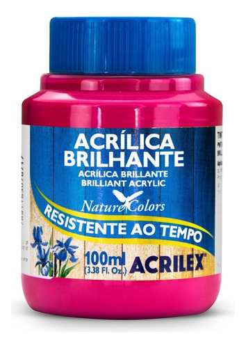 Tinta Acrilica Brilhante 100ml - Cores Cor ROSA ESCURO 542