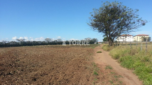 Imagem 5 de 6 de Área À Venda Em João Aranha - Ar002950