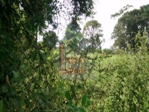 Imagem 7 de 7 de Cód 1276 - Terreno De 2000 M², De Frente Para O Asfalto . - 1276