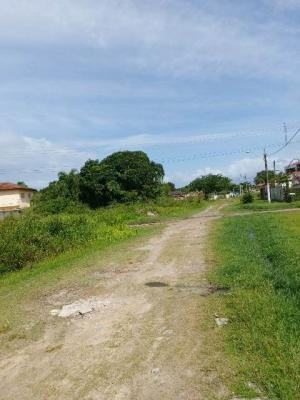 Imagem 2 de 5 de Terreno No Litoral Em Itanhaém Lado Praia! - 7966 Lc
