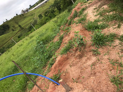 Imagem 9 de 9 de T05- Terreno 1000 M2 A Partir De R$49.000 À Vista