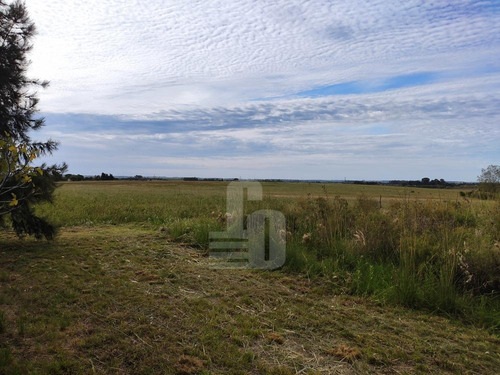 Chacra Orgánica Con Casas - 6,5 Ha En Colonia Este