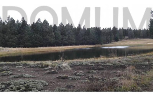 Imagen 7 de 14 de Lote De 1500 M2 Con Fondo Al Campo De Golf