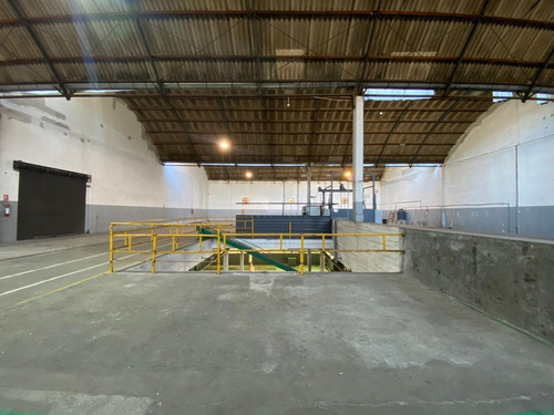 Imagen 6 de 26 de Local Galpon Arroyo Seco Venta 3651m Montacargas Balanza Sub Estacion Ute A 2 Calles