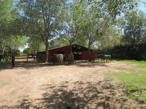 Imagen 20 de 22 de Casa Campo En Venta En Manzanares -pilar, G.b.a. Zona Norte