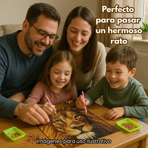 Pintura Diamantes Cristal Arte Kit Adhesivo 40x50cm Madera Barco