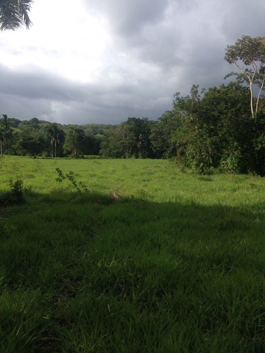 Te Vendo Hermosa Finca En Guerra