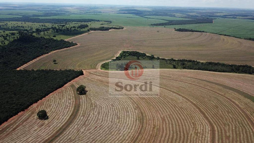 Imagem 10 de 20 de Fazenda À Venda, 4400000 M² Por R$ 22.000.000,00 - Zona Rural - Prata/mg - Fa0109