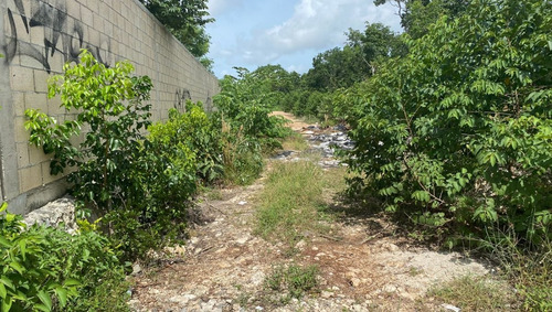 Imagen 13 de 13 de Terreno Venta Cancun Doctores 2500m2