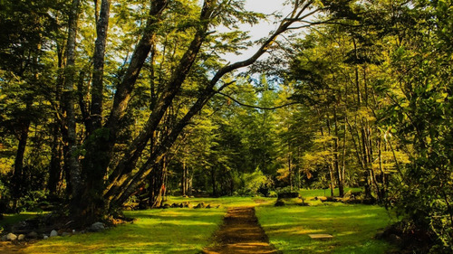 Imagen 6 de 13 de Cabañas Domo Entre Villarrica Y Pucón (molco).