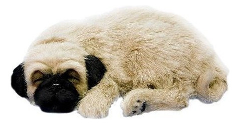 Perfect Petzzz Xp9109 Huggable Pug Puppy