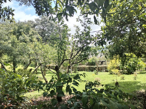 Imagen 23 de 30 de Vendo Bonita Granja, Media Manzana De Terreno, Ubicada A Orilla De Carretera Pavimentada, Muy Cerca De San Lucas Sacatepequez