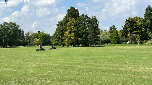 Mantenimiento De Espacios Verdes/corte De Pasto Gral