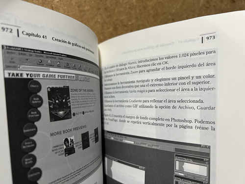 Microsoft Frontpage 2002, Edicion Especial. Neil. (Usado)
