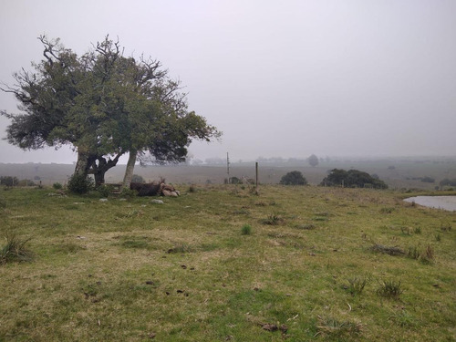 Imagen 16 de 24 de Chacra - Zona Aiguá. A Pocos Km Del Cerro Catedral