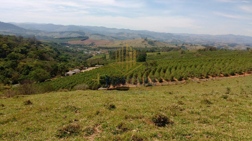 Imagem 3 de 15 de Fazenda Para Venda Em Ouro Fino, Centro - Fazenda 0_1-2237059