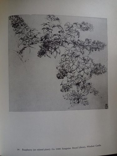 Leonardo Drawings 60 Works By Leonardo Da Vinci (Usado)