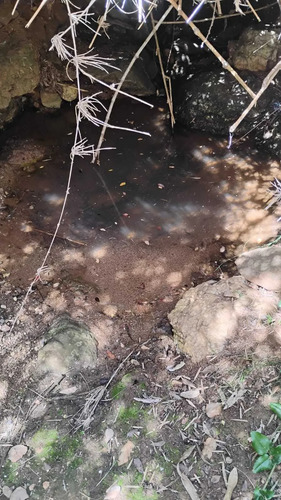 Amplio Terreno De 10,65 Hectáreas En Pichilem (177469)