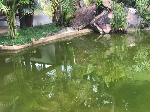 Imagem 22 de 30 de Chácara Em Vila Amélia Moreira, Sabará/mg De 690m² 4 Quartos À Venda Por R$ 690.000,00 - Ch2327861-s