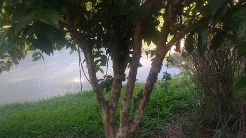 Chácara De 2 Dormitórios Cozinha E Banheiro