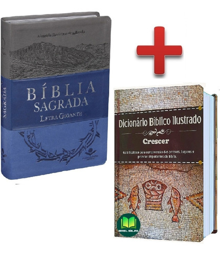 Bíblia Letra Gigante Sbb + Dicionário Bíblico Sbb 