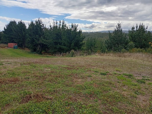 Terreno Ubicado A 6 Km De La Union, Sector Cudico