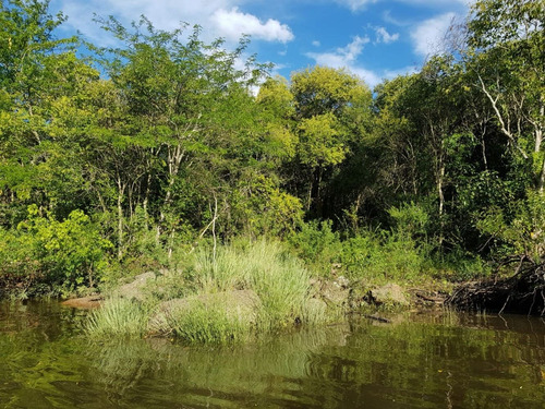 Imagen 4 de 5 de Campo En Venta En Colonia Sobre Ruta Con Costa De Arroyo