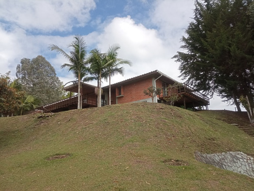 Finca En Arriendo Ubicada En Rionegro Sector Vereda El Higueron (20153).