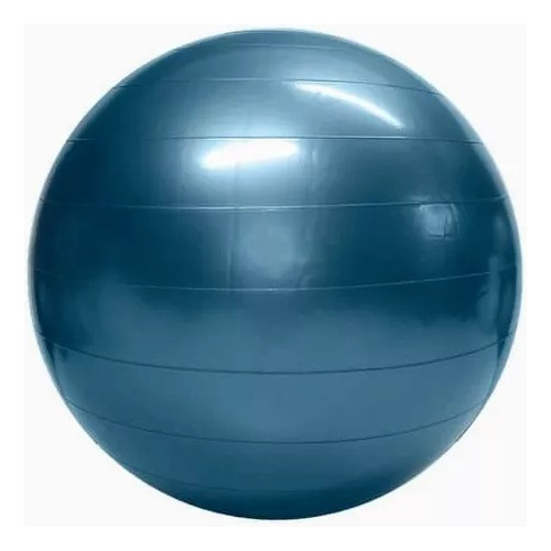 Fitball Pelota Esferodinamia 65cm Pilates Gym Medicinal