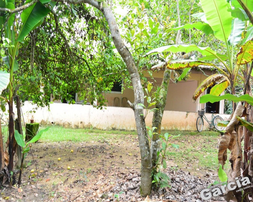 Chácara A Venda Em Ana Dias - 4770 - 34946125