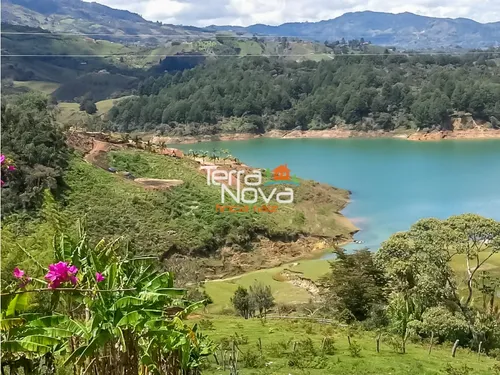 Lote Apto Para Desarrollo Turístico En Venta Guatapé