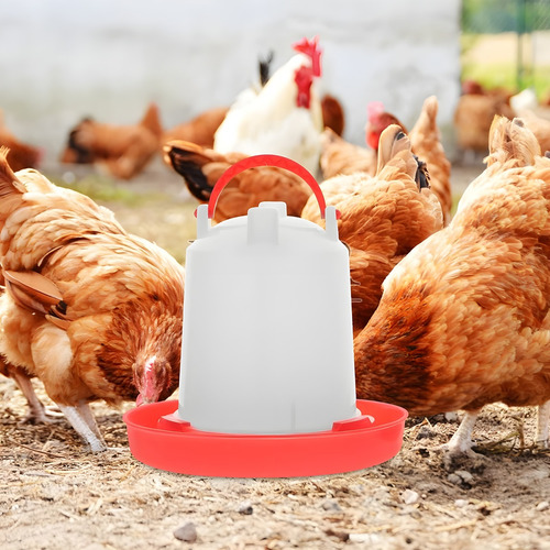 Bebedero Gallinas Pollos Granja Bebederos Aves Pajaros 6 Lts
